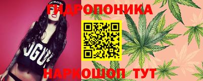 a pvp Краснознаменск