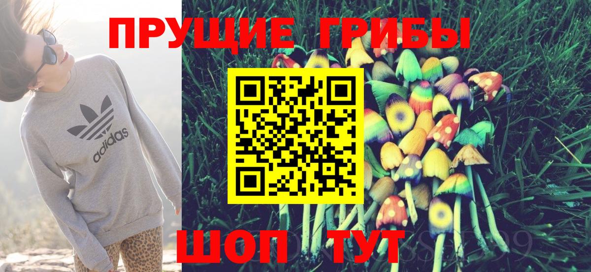 Галлюциногенные грибы мухоморы  где купить наркоту  Коммунар  Вход с VPN 